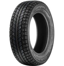 DoubleStar 215/55R16 93T Winterking DW07